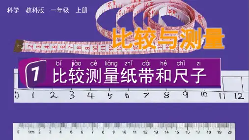 一年级科学上册第二单元  比较与测量第7课《比较测量纸袋和尺子》教学课件