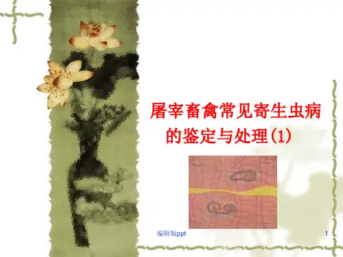 寄生虫病的鉴定与处理PPT课件