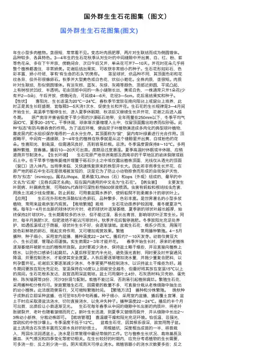 国外群生生石花图集（图文）