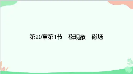 人教版物理九年级全册第20章第1节磁现象磁场课件习题