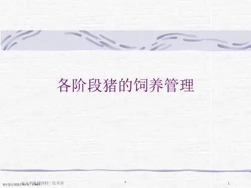 各阶段猪的饲养管理PPT课件
