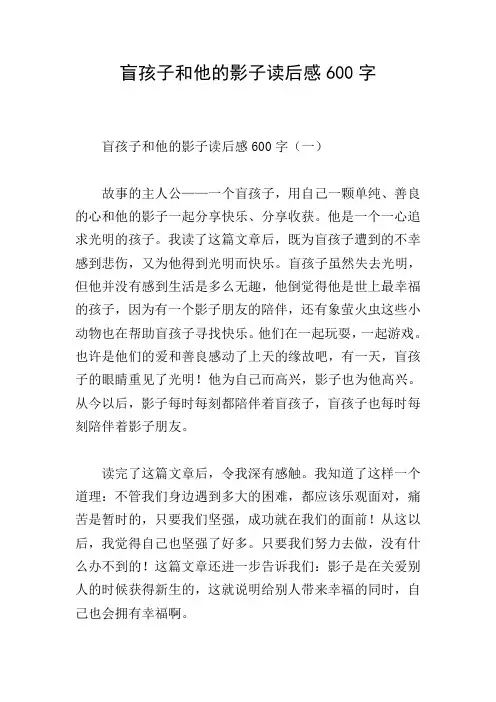 盲孩子和他的影子读后感600字