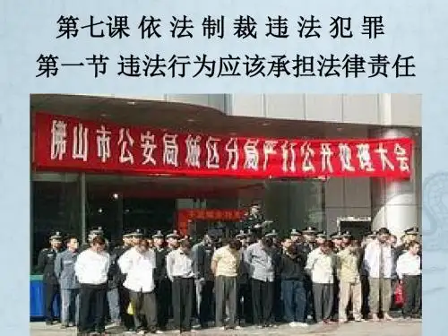 八年级政治 违法行为应该承担法律责任课件