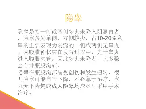 医学课件隐睾护理查房专题宣讲