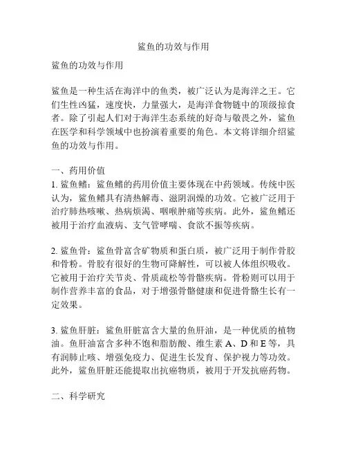 鲨鱼的功效与作用