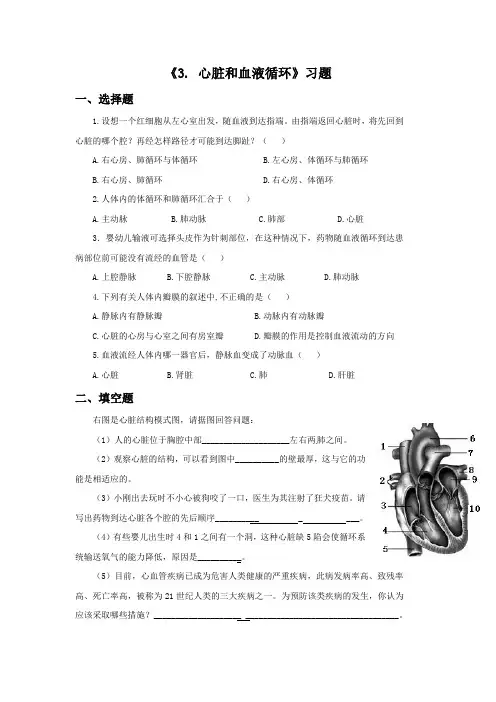 苏教版科学五年级上册 第四单元《3. 心脏和血液循环》习题1