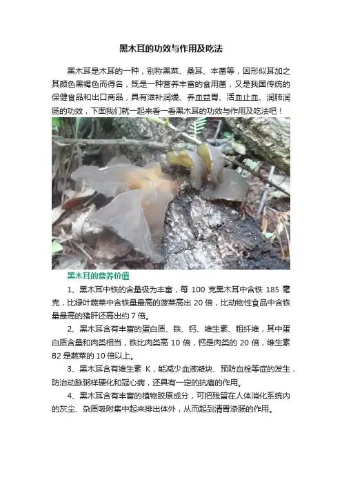 黑木耳的功效与作用及吃法