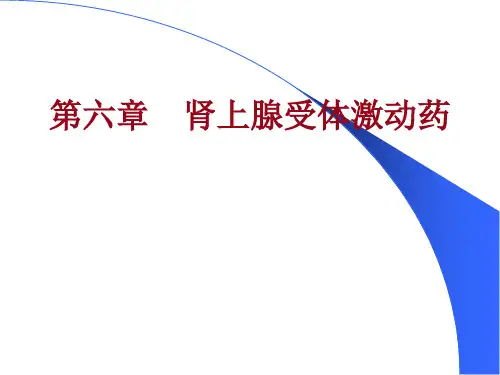 第6章-1 肾上腺素受体激动药(药理学人民卫生出版社第8版)