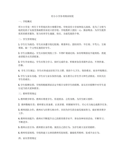 村小小学各项规章制度
