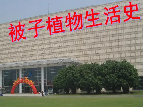 被子植物生活史
