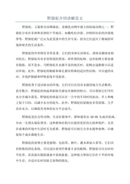 野骆驼介绍讲解范文