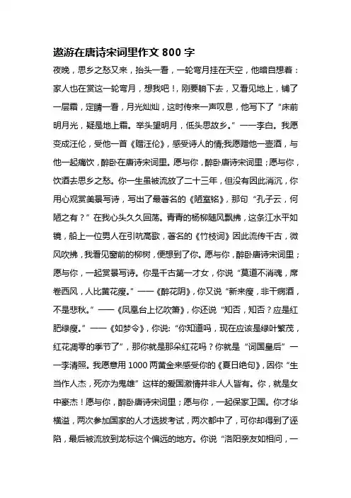 遨游在唐诗宋词里作文800字
