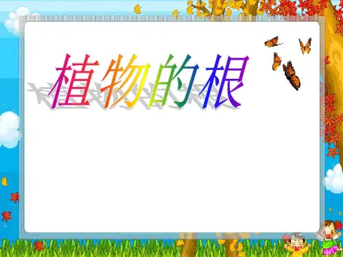三年级上册科学课件-《植物的根》青岛版