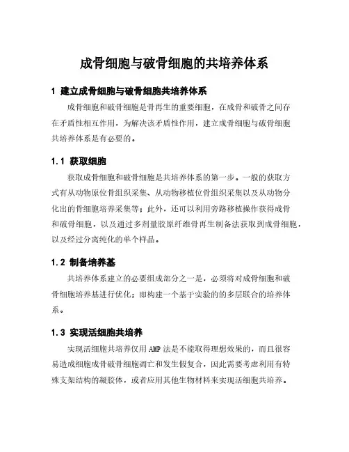 成骨细胞与破骨细胞的共培养体系