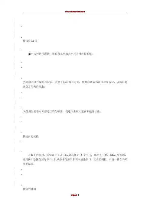 大树移栽措施及步骤