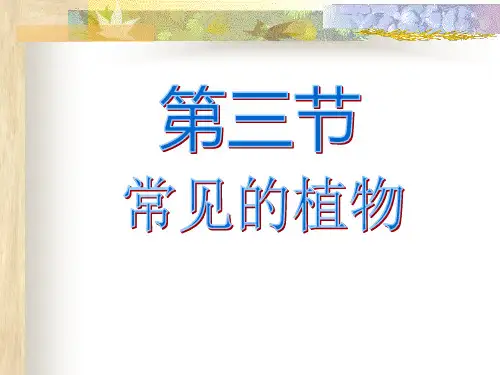 常见的植物PPT课件(初中科学)