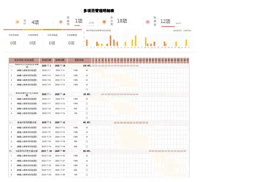 多项目管理进度明细表