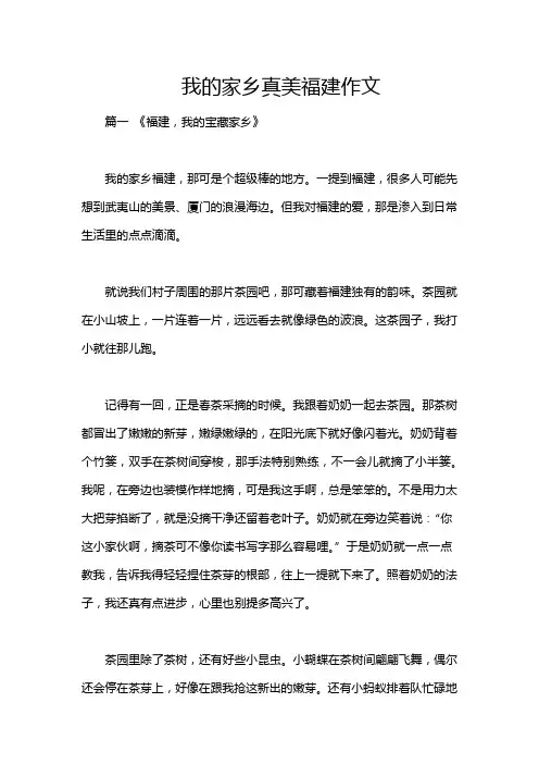我的家乡真美福建作文