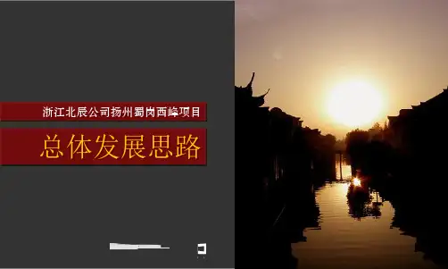 某公司项目总体发展思路概述(PPT 92页)