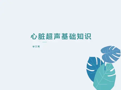 心脏超声基础知识
