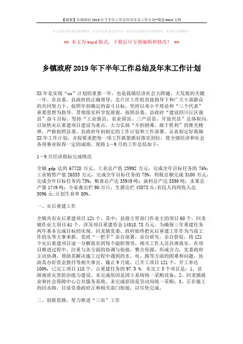 【最新】乡镇政府2019年下半年工作总结及年末工作计划-精选word文档 (6页)