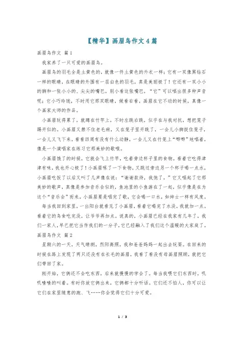 【精华】画眉鸟作文4篇