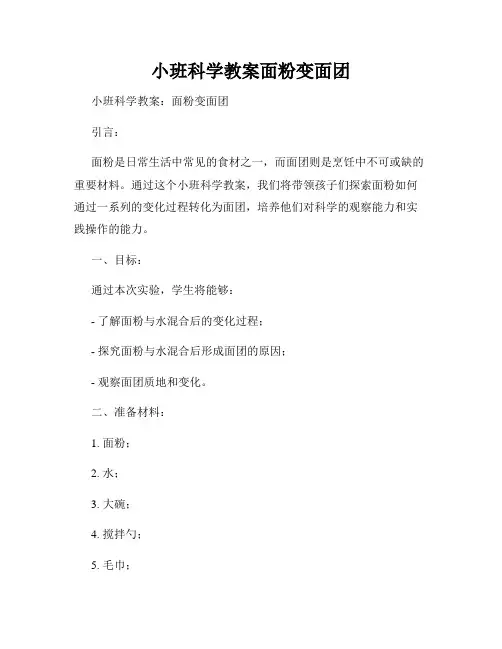 小班科学教案面粉变面团