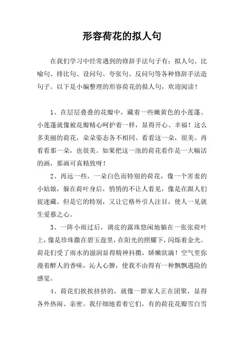 形容荷花的拟人句
