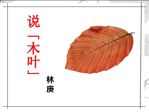 人教版高中语文必修五第三单元第九课说“木叶”教学课件 (共22张PPT)
