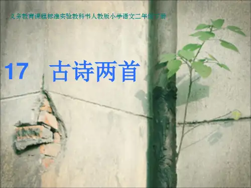 人教版小学二年级下册课《古诗两首》――《望庐山瀑布》《绝句》PPT课件