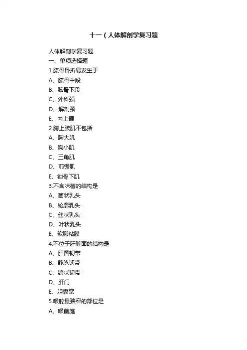 十一（人体解剖学复习题