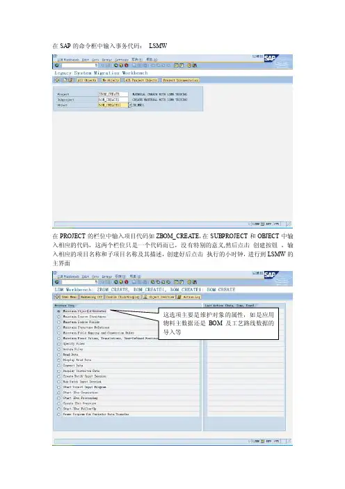 LSMW操作手册