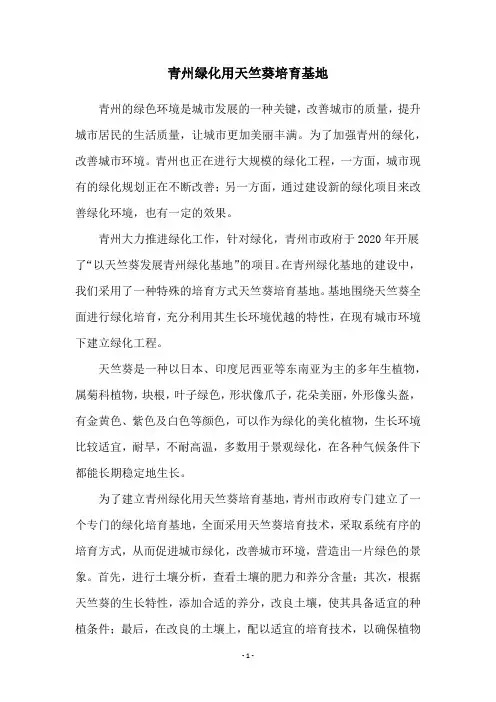 青州绿化用天竺葵培育基地