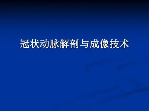 冠状动脉解剖与冠心病ct