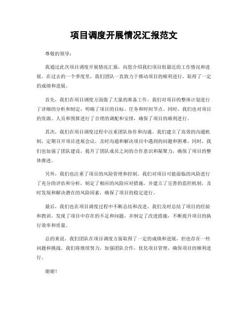 项目调度开展情况汇报范文