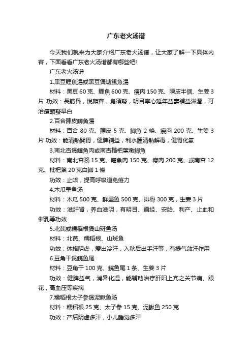 广东老火汤谱