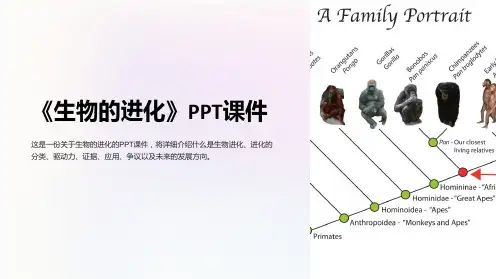 《生物的进化》课件