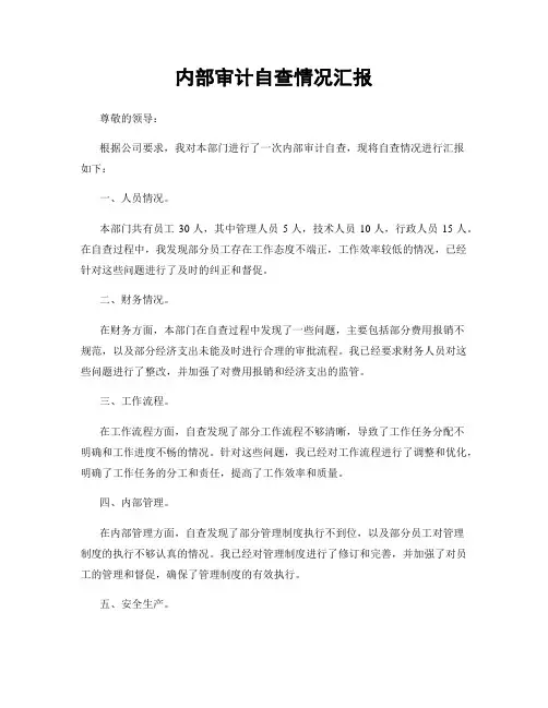 内部审计自查情况汇报