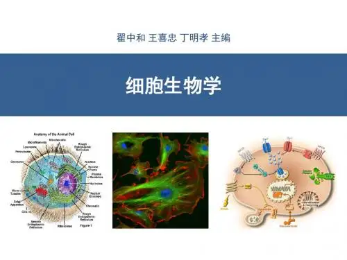 细胞生物学 翟中和 第1章 绪论