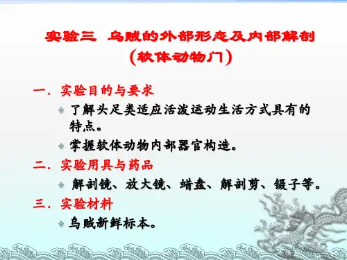 实验3 乌贼的外部形态及内部解剖(软体动物门)ppt课件