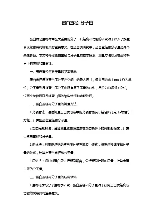 蛋白直径 分子量