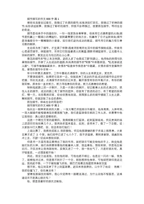 细节描写的作文