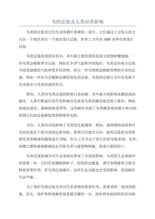 鸟的迁徙及人类对其影响