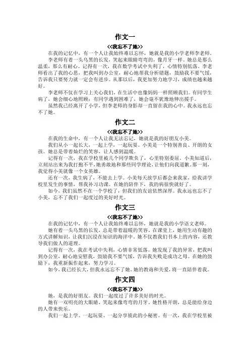 我忘不了她300字优秀作文