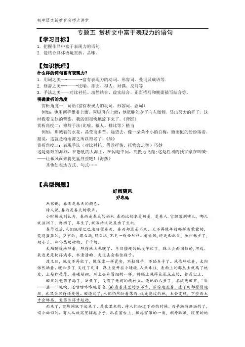 专题五---现代文阅读之赏析有表现力的语句