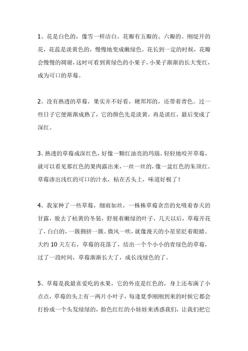 描写草莓的优美片段