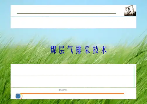 煤层气排采技术