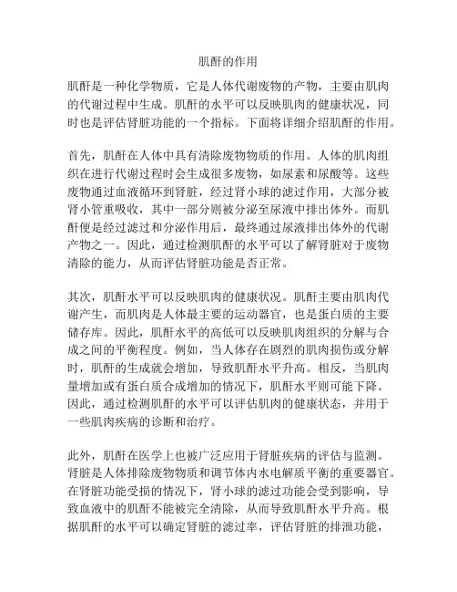 肌酐的作用