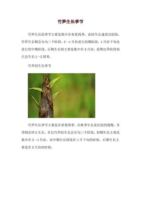 竹笋生长季节