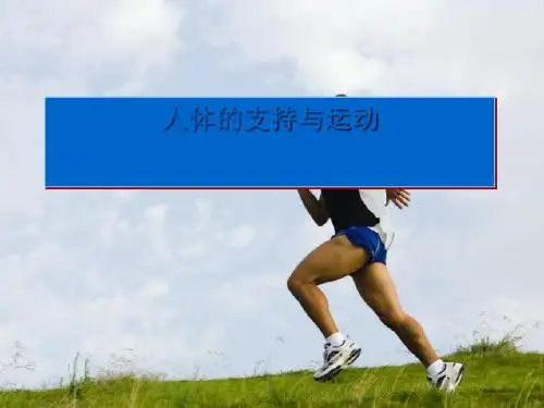 人体的支持与运动ppt4